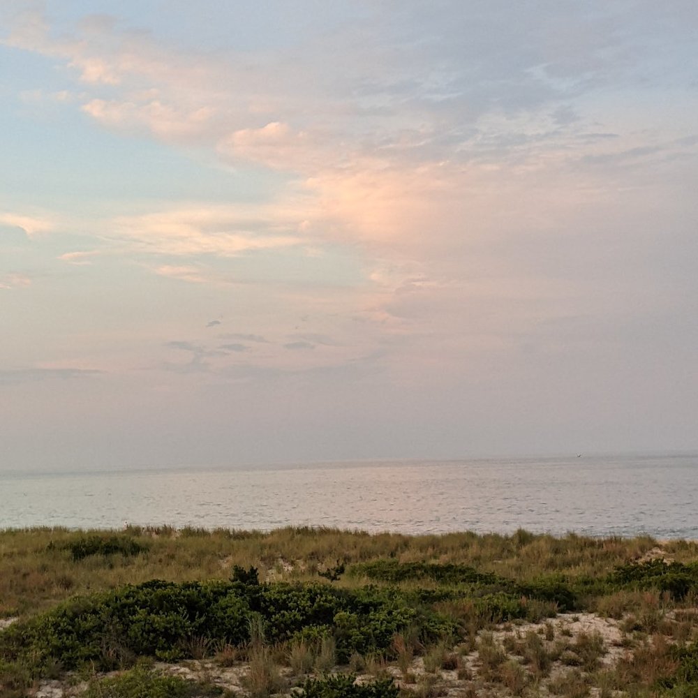 Meet your Posher, Poppy